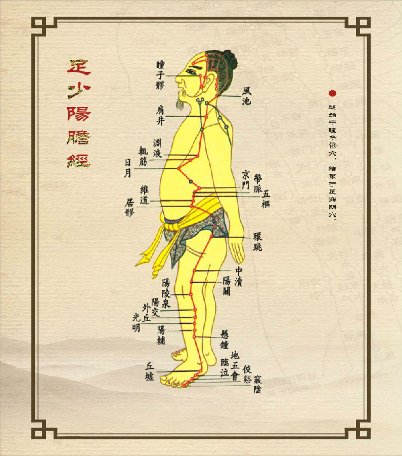 敲胆经可改善肝胆火导致的口苦,偏头痛,还因为可以促进腿部经络排毒